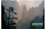 張家界國家森林公園、寶峰湖/黃龍洞、鳳凰古城、三峽八日游